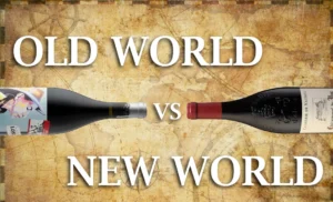 Old World vs New World: Panduan Biar Nggak Salah Pilih Wine