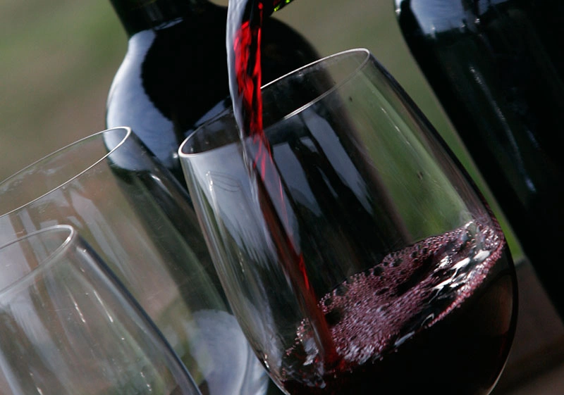 karakter-unik-wine-carignan-lembah-maule-chili
