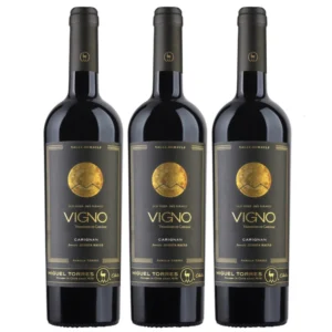 karakter-unik-wine-carignan-lembah-maule-chili