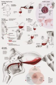 cara-mencicipi-wine